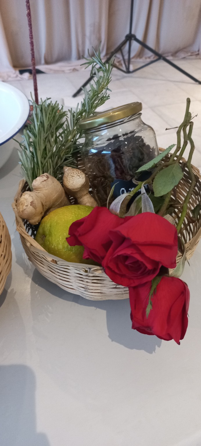 Plantas e elementos utilizados na vivência da Herbória